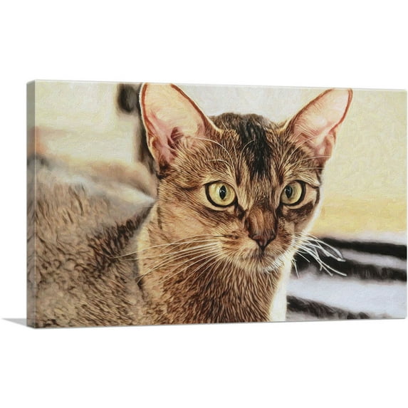 ARTCANVAS Abyssinian Cat Breed Closeup Canvas Art Print - Size: 26" x 18" (0.75" Deep)