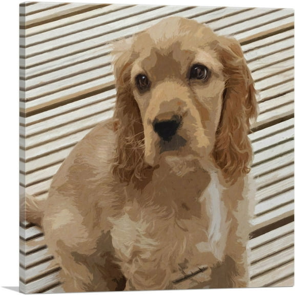 ARTCANVAS American Cocker Spaniel Dog Breed Lines Canvas Art Print - Size: 18" x 18" (0.75" Deep)