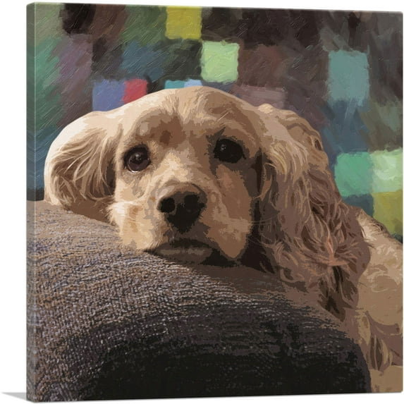 ARTCANVAS American Cocker Spaniel Dog Breed Squares Canvas Art Print - Size: 36" x 36" (0.75" Deep)