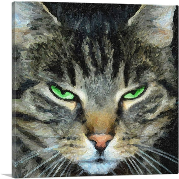 ARTCANVAS American Shorthair Angry Cat Breed Canvas Art Print - Size: 18" x 18" (0.75" Deep)