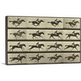 thumbnail image 1 of ARTCANVAS Animal Locomotion - Race Horse Canvas Art Print by Eadweard Muybridge - Size: 12" x 8" (0.75" Deep), 1 of 9