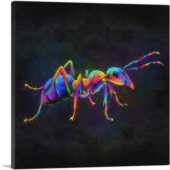 ARTCANVAS Ant Insect Bug Pest Control Canvas Art Print - Size: 18" x 18" (1.50" Deep)