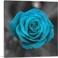 thumbnail image 1 of ARTCANVAS Baby Blue Rose Flower In Garden Canvas Art Print - Size: 18" x 18" (0.75" Deep), 1 of 9