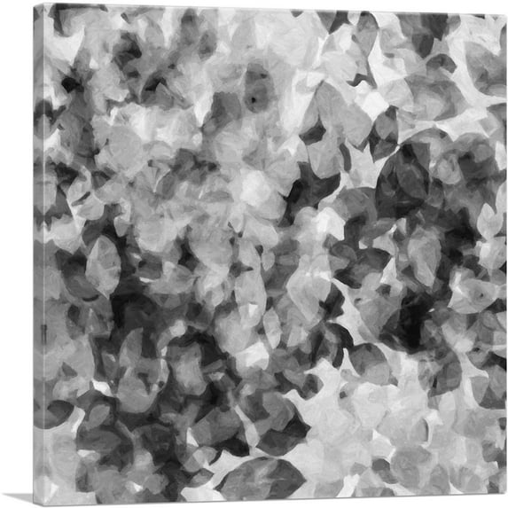 ARTCANVAS Black Gray White Petals Square Canvas Art Print - Size: 18" x 18" (0.75" Deep)