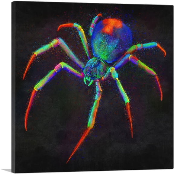ARTCANVAS Black Window Spider Web Arachnid Canvas Art Print - Size: 36" x 36" (1.50" Deep)