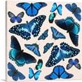 thumbnail image 1 of ARTCANVAS Blue Black Baby Butterfly Wings Insect Canvas Art Print - Size: 18" x 18" (0.75" Deep), 1 of 9