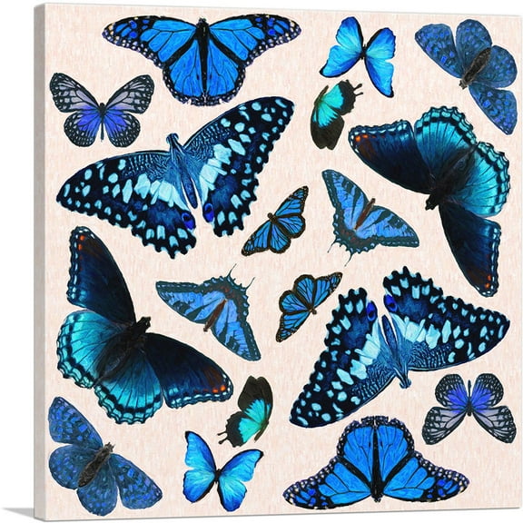 ARTCANVAS Blue Black Baby Butterfly Wings Insect Canvas Art Print - Size: 18" x 18" (0.75" Deep)