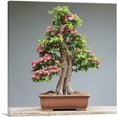 thumbnail image 1 of ARTCANVAS Bonsai, Japanese Mini Tree Canvas Art Print - Size: 18" x 18" (1.50" Deep), 1 of 9