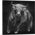 thumbnail image 1 of ARTCANVAS Bull Cattle Steer Animal Black White Canvas Art Print - Size: 12" x 12" (0.75" Deep), 1 of 9