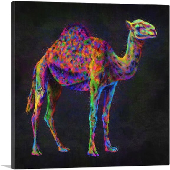 ARTCANVAS Camel Hump Desert Canvas Art Print - Size: 12" x 12" (0.75" Deep)