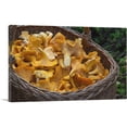 thumbnail image 1 of ARTCANVAS Chanterelle Mushrooms Restaurant decor Canvas Art Print - Size: 40" x 26" (1.50" Deep), 1 of 9