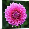 thumbnail image 1 of ARTCANVAS Dahlia Flower Home Decor Square Canvas Art Print - Size: 36" x 36" (0.75" Deep), 1 of 9