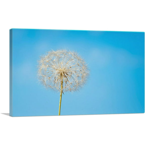 ARTCANVAS Dandelion Blue Sky Photo Rectangle Canvas Art Print - Size: 18" x 12" (1.50" Deep)