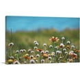thumbnail image 1 of ARTCANVAS Dandelions Field and Orange Flowers Canvas Art Print - Size: 18" x 12" (0.75" Deep), 1 of 9