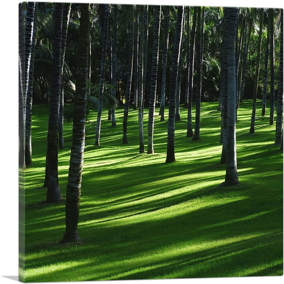 ARTCANVAS Exotic Forest Home Decor Square Canvas Art Print - Size: 26" x 26" (1.50" Deep)