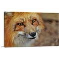 thumbnail image 1 of ARTCANVAS Fox' Face Home decor Canvas Art Print - Size: 40" x 26" (1.50" Deep), 1 of 9