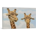 thumbnail image 1 of ARTCANVAS Giraffe Safari Zoo decor Canvas Art Print - Size: 26" x 18" (0.75" Deep), 1 of 9