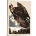 thumbnail image 1 of ARTCANVAS Golden Eagle Canvas Art Print by John James Audubon - Size: 60" x 40" (1.50" Deep) (3-Piece), 1 of 9