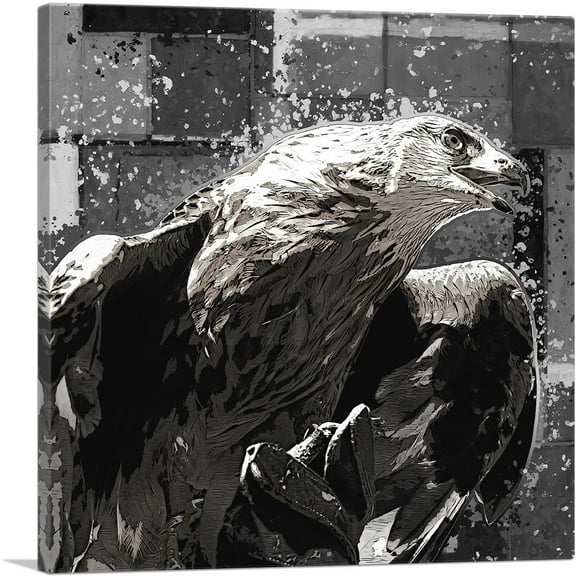 ARTCANVAS Golden Eagle of Albania Black White Canvas Art Print - Size: 36" x 36" (1.50" Deep)