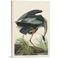 thumbnail image 1 of ARTCANVAS Great Blue Heron Canvas Art Print by John James Audubon - Size: 40" x 26" (0.75" Deep), 1 of 9