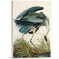 thumbnail image 1 of ARTCANVAS Great Blue Heron Canvas Art Print by John James Audubon - Size: 40" x 26" (1.50" Deep), 1 of 9