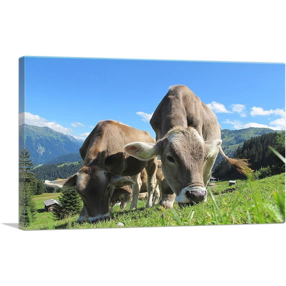 ARTCANVAS Grey Cows In The Mountain Home decor Canvas Art Print - Size: 18" x 12" (0.75" Deep)