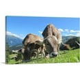 thumbnail image 1 of ARTCANVAS Grey Cows In The Mountain Home decor Canvas Art Print - Size: 40" x 26" (0.75" Deep), 1 of 9