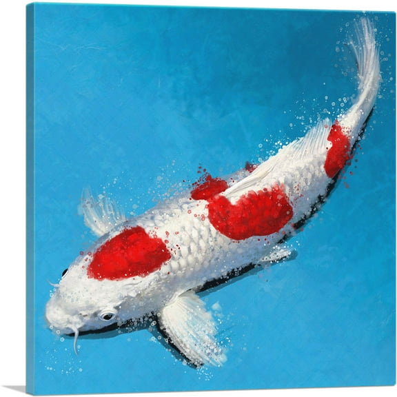 ARTCANVAS Hikarimoyo Koi Carp Fish Japan China Asia Canvas Art Print - Size: 18" x 18" (0.75" Deep)