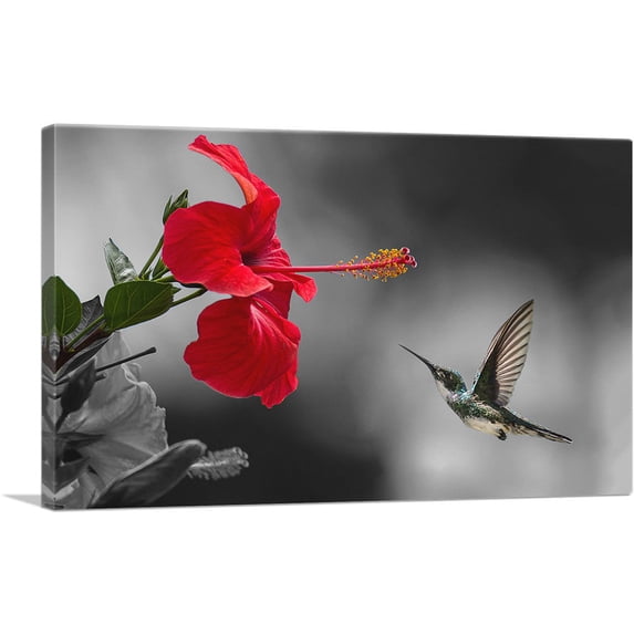 ARTCANVAS Hummingbird Flying Red Flower Canvas Art Print - Size: 26" x 18" (1.50" Deep)