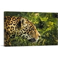 thumbnail image 1 of ARTCANVAS Jaguar Home decor Canvas Art Print - Size: 40" x 26" (1.50" Deep), 1 of 9
