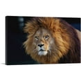 thumbnail image 1 of ARTCANVAS Lion Home Decor Rectangle Canvas Art Print - Size: 26" x 18" (0.75" Deep), 1 of 9