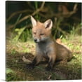 thumbnail image 1 of ARTCANVAS Little Fox In Forest Home decor Canvas Art Print - Size: 12" x 12" (1.50" Deep), 1 of 9