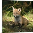thumbnail image 1 of ARTCANVAS Little Fox In Forest Home decor Canvas Art Print - Size: 36" x 36" (0.75" Deep), 1 of 9