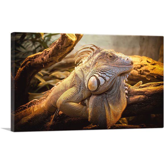 ARTCANVAS Lizard Home decor Canvas Art Print - Size: 18" x 12" (0.75" Deep)
