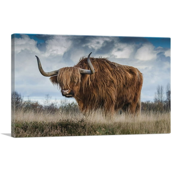 ARTCANVAS Long Hair Bull Home Decor Rectangle Canvas Art Print - Size: 40" x 26" (1.50" Deep)