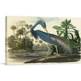 thumbnail image 1 of ARTCANVAS Louisiana Heron Canvas Art Print by John James Audubon - Size: 60" x 40" (1.50" Deep) (3-Piece), 1 of 9