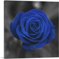 thumbnail image 1 of ARTCANVAS Navy Blue Rose Flower In Garden Canvas Art Print - Size: 18" x 18" (1.50" Deep), 1 of 9