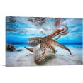 thumbnail image 1 of ARTCANVAS Octopus in Shallow Ocean Water Canvas Art Print - Size: 18" x 12" (0.75" Deep), 1 of 9