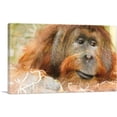 thumbnail image 1 of ARTCANVAS Orangutan Monkey Home decor Canvas Art Print - Size: 60" x 40" (0.75" Deep) (3-Piece), 1 of 9