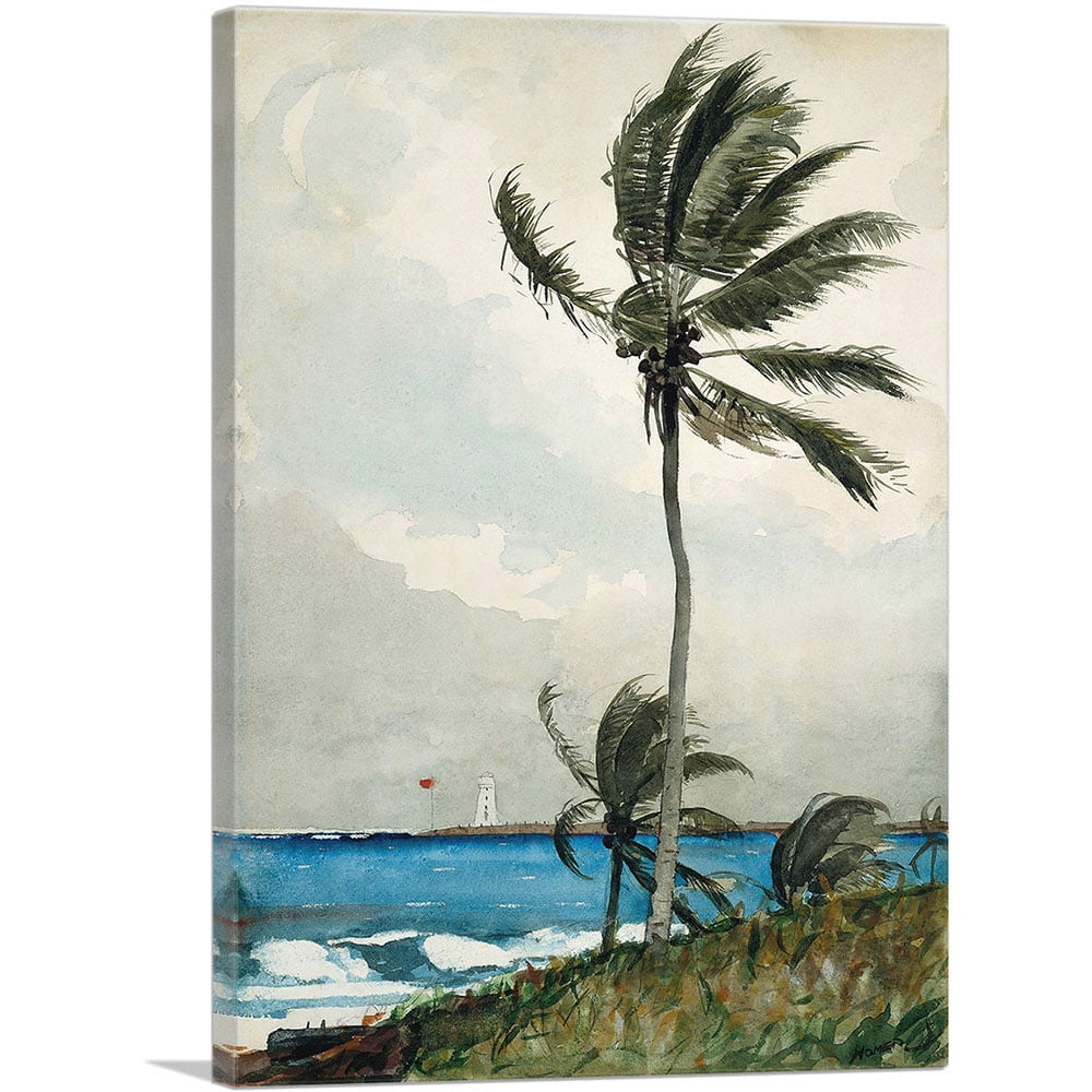 Palm Tree Nassau 1898 Canvas Art Print in Green and Beige