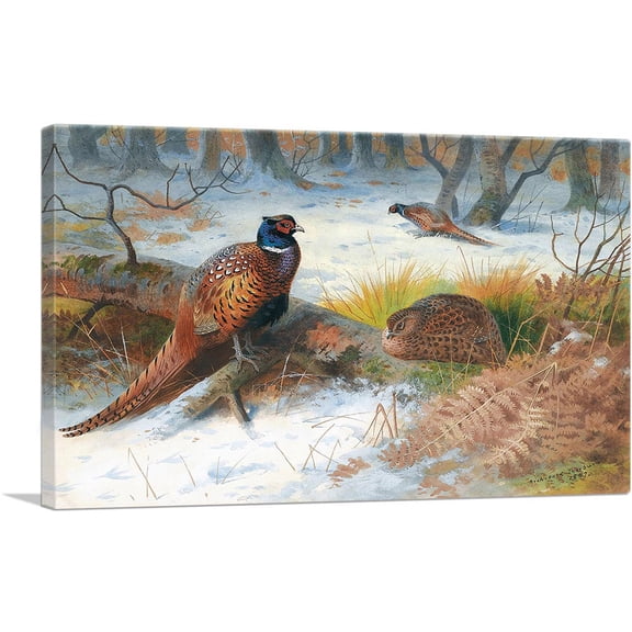 ARTCANVAS Pheasants In The Snow 1897 Canvas Art Print by Archibald Thorburn - Size: 26" x 18" (0.75" Deep)