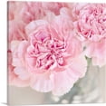 thumbnail image 1 of ARTCANVAS Pink Carnation Home Decor Square Canvas Art Print - Size: 12" x 12" (1.50" Deep), 1 of 9