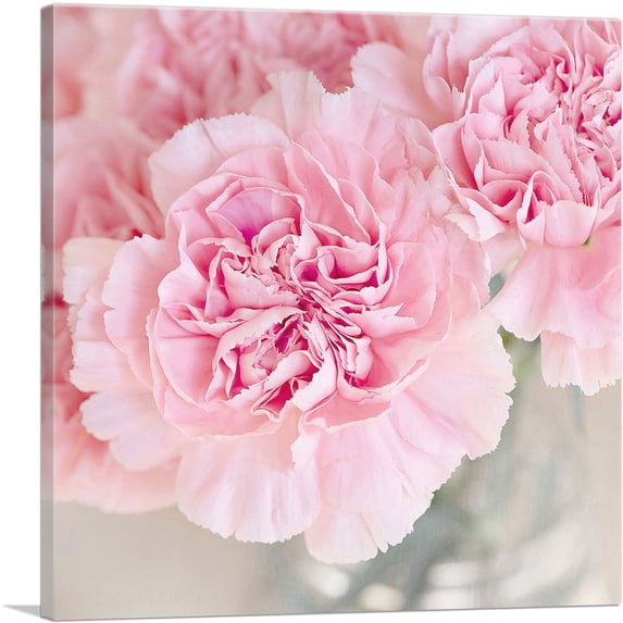 ARTCANVAS Pink Carnation Home Decor Square Canvas Art Print - Size: 18" x 18" (1.50" Deep)