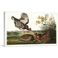 thumbnail image 1 of ARTCANVAS Pinnated Grouse Canvas Art Print by John James Audubon - Size: 40" x 26" (1.50" Deep), 1 of 9