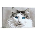 thumbnail image 1 of ARTCANVAS Ragdoll Cat Breed Blue Eyes Canvas Art Print - Size: 18" x 12" (0.75" Deep), 1 of 9