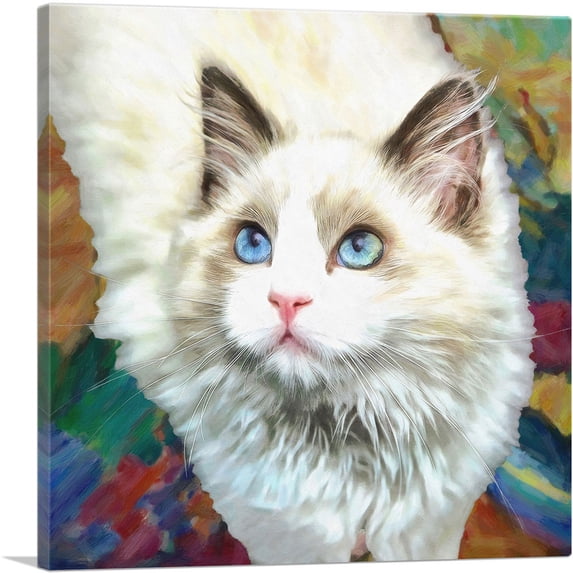 ARTCANVAS Ragdoll Cat Breed Canvas Art Print - Size: 12" x 12" (0.75" Deep)
