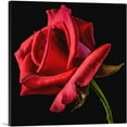 thumbnail image 1 of ARTCANVAS Red Rose Home decor Canvas Art Print - Size: 12" x 12" (0.75" Deep), 1 of 9