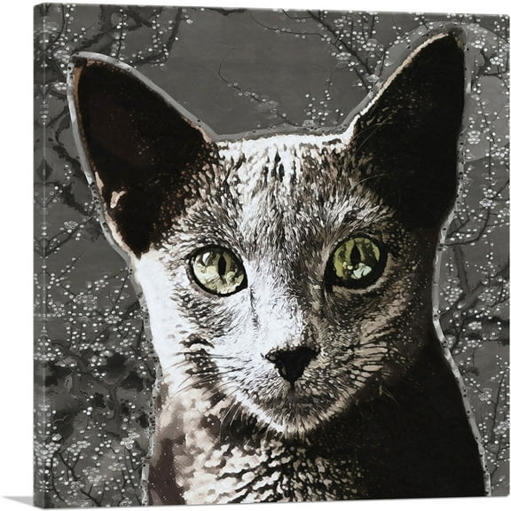 ARTCANVAS Russian Blue Cat Breed Charcoal Canvas Art Print - Size: 18" x 18" (0.75" Deep)