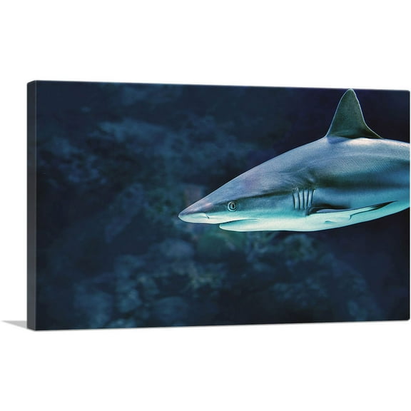 ARTCANVAS Shark In Ocean Home Decor Rectangle Canvas Art Print - Size: 26" x 18" (0.75" Deep)