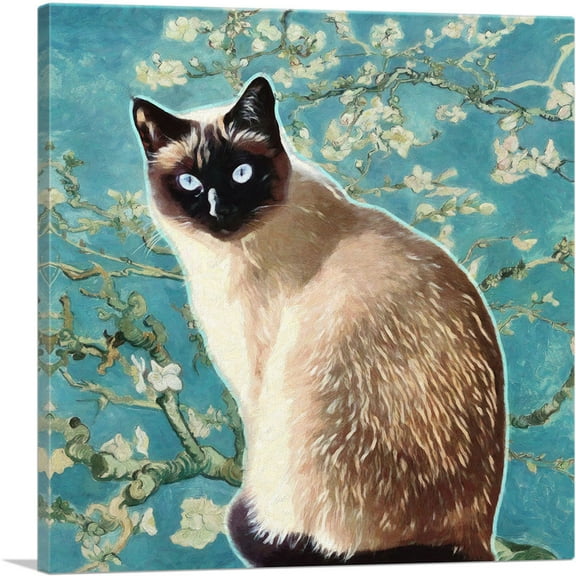 ARTCANVAS Siamese Cat Breed Teal Canvas Art Print - Size: 26" x 26" (1.50" Deep)